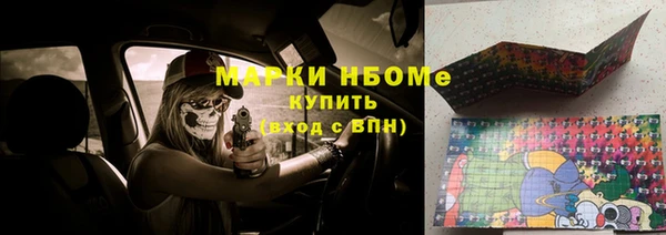 ПСИЛОЦИБИНОВЫЕ ГРИБЫ Тайга