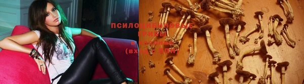соль ск Осташков