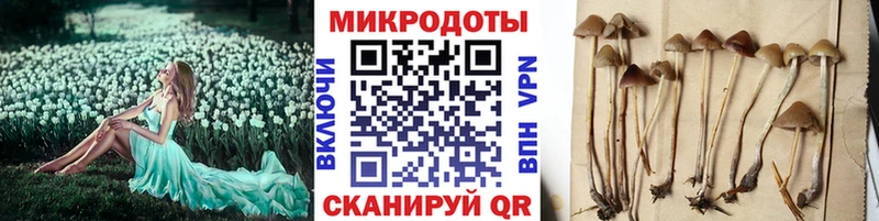 Галлюциногенные грибы Magic Shrooms Завитинск